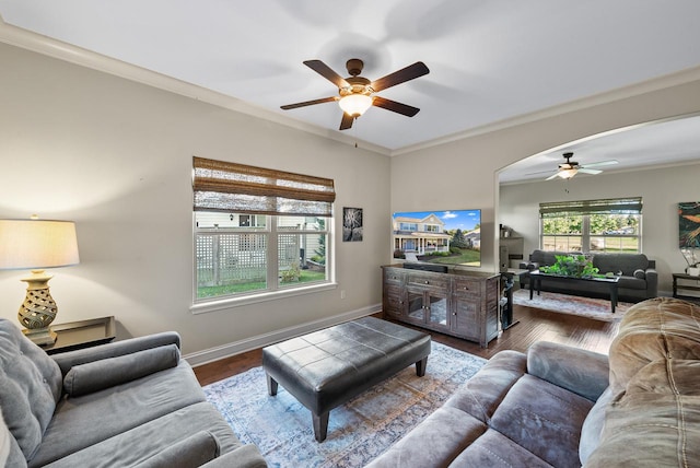 living room with ceiling fan, hardwood / wood-style flooring, and crown molding