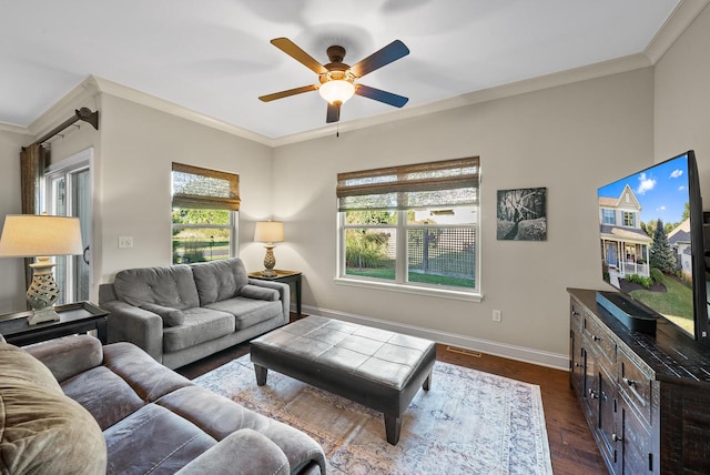 living room featuring ceiling fan, dark wood-type flooring, and crown molding