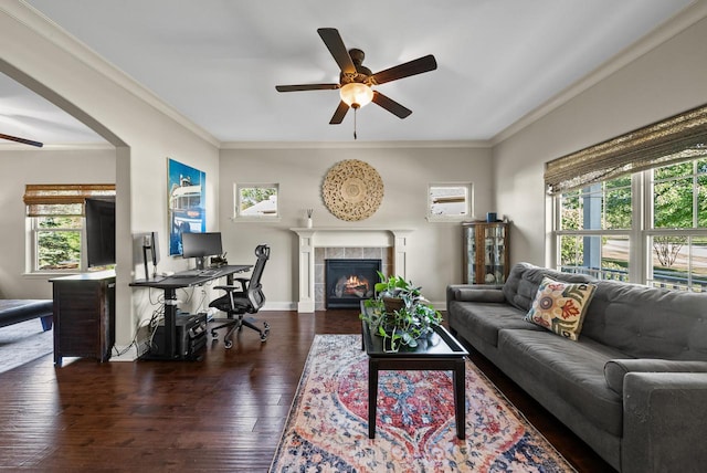 living room with ceiling fan, plenty of natural light, dark hardwood / wood-style floors, and a tile fireplace