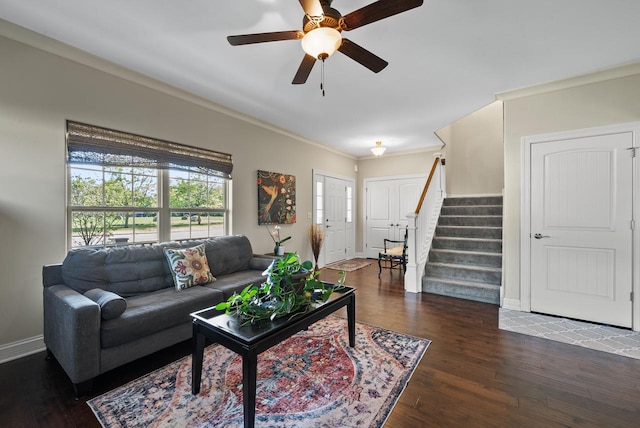 living room with crown molding, dark hardwood / wood-style flooring, and ceiling fan