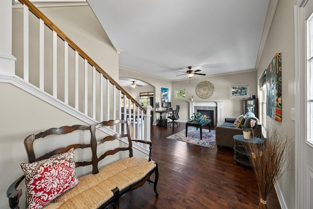 foyer entrance featuring ornamental molding and dark hardwood / wood-style floors