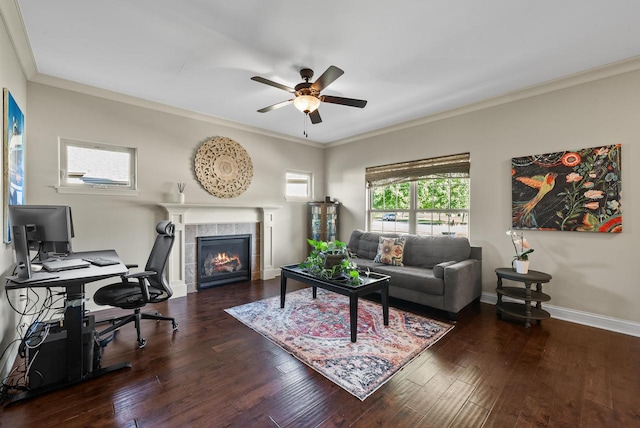 living room featuring ceiling fan, a fireplace, dark wood-type flooring, and ornamental molding