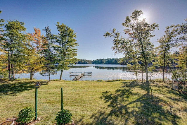 property view of water with a dock