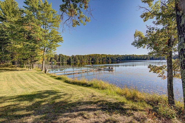 dock area featuring a water view and a yard