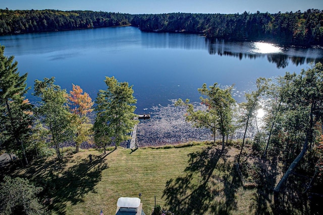 6147 County Rd E, Phelps, WI 54554 - view of water feature featuring a wooded view