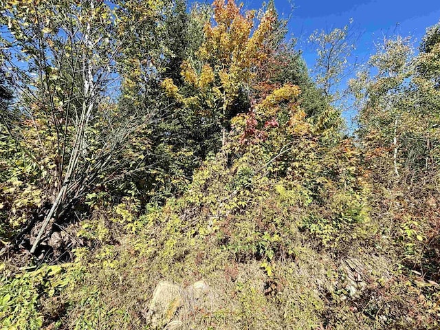 30AOFF Minnow Creek Rd, Gordon, WI 54546