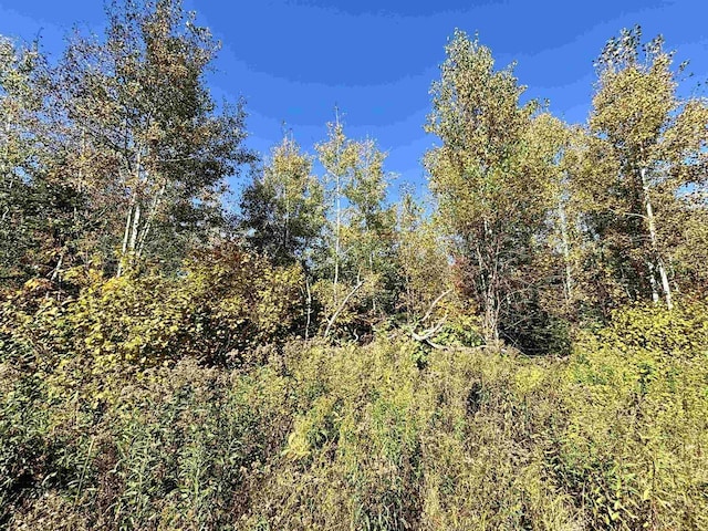 30AOFF Minnow Creek Rd, Gordon, WI 54546