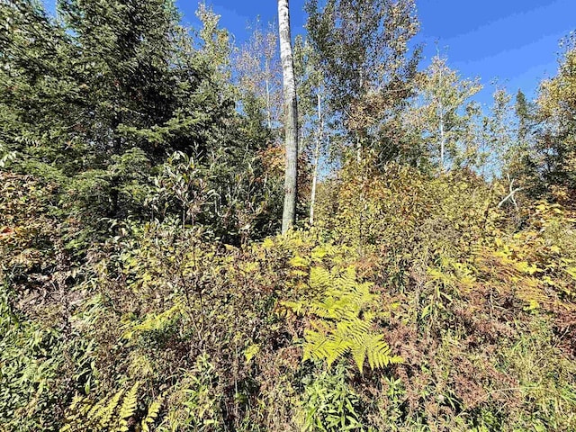30AOFF Minnow Creek Rd, Gordon, WI 54546