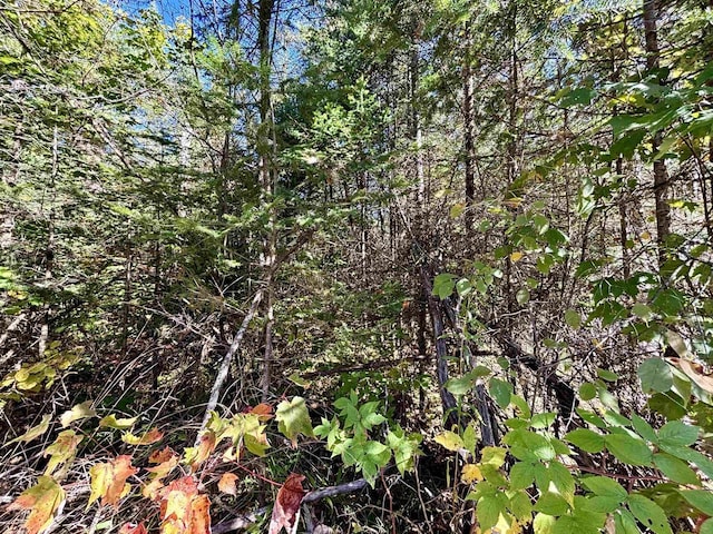 30AOFF Minnow Creek Rd, Gordon, WI 54546