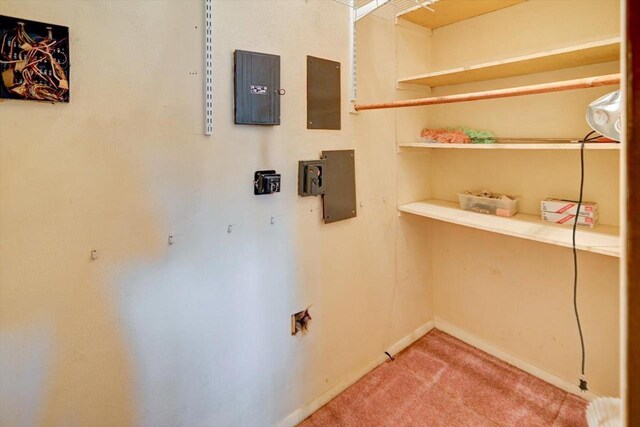 2809 Dewey Ct, Middleton, WI 53562 - laundry room with carpet floors