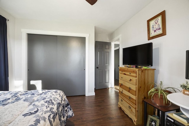 bedroom featuring ceiling fan, a closet, and dark hardwood / wood-style flooring