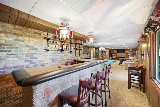 bar featuring carpet floors