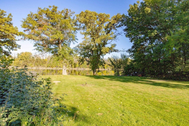 view of yard featuring a water view