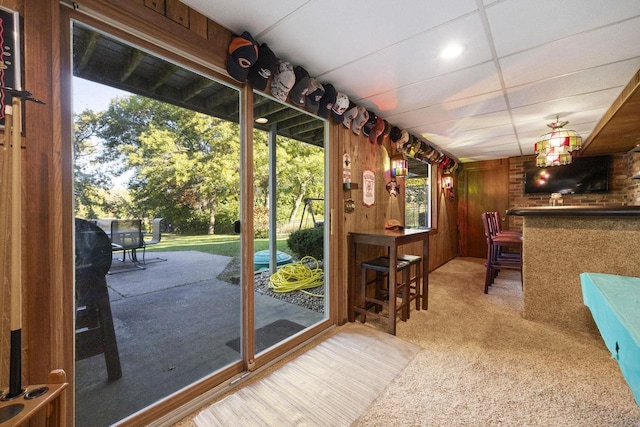 entryway featuring plenty of natural light, wood walls, and carpet floors