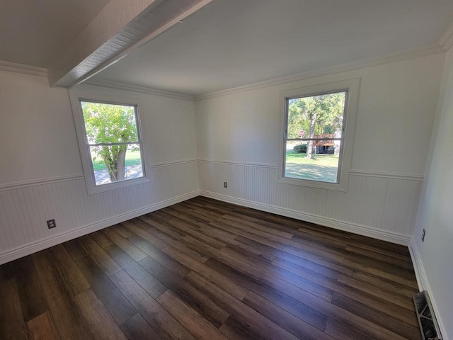 spare room featuring ornamental molding, a healthy amount of sunlight, and dark hardwood / wood-style flooring