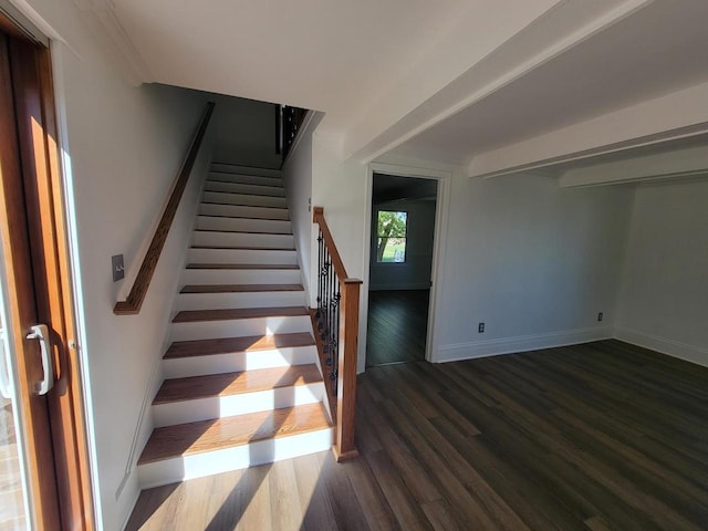 staircase with hardwood / wood-style floors