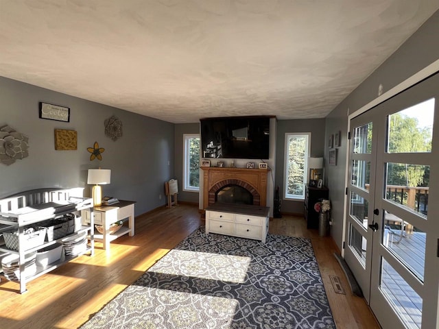 living room featuring hardwood / wood-style floors