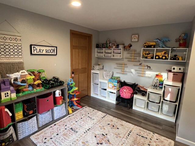 36997 Wildernest Rd, Prairie Du Chien, WI 53821 - rec room featuring dark wood-style floors