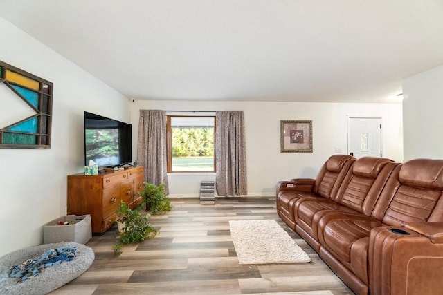 living room featuring light hardwood / wood-style floors