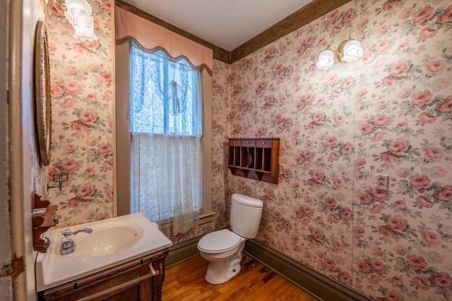 bathroom with vanity, wood-type flooring, and toilet