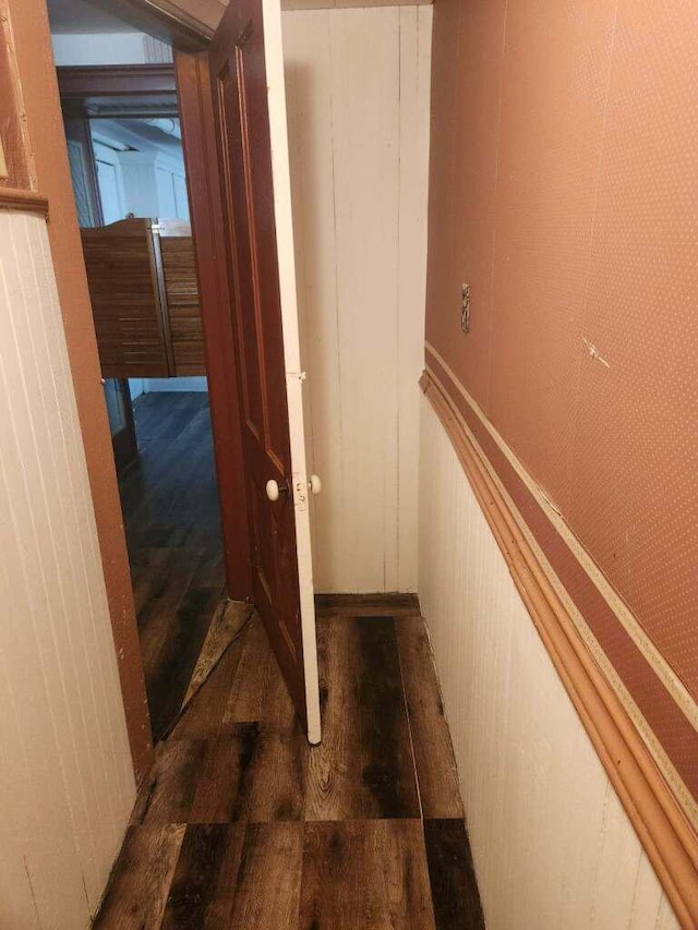 hallway with dark wood-type flooring