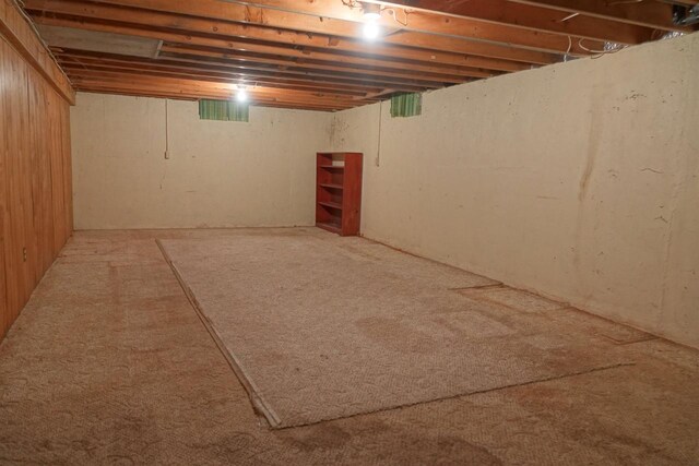 basement featuring carpet flooring