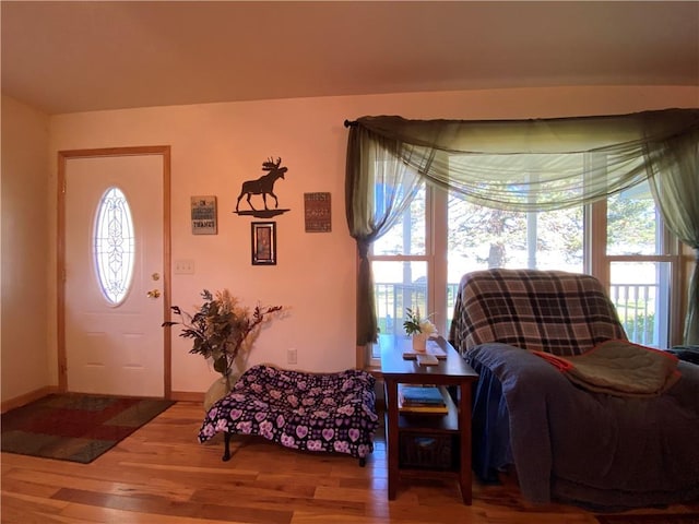 entryway featuring a healthy amount of sunlight and wood-type flooring