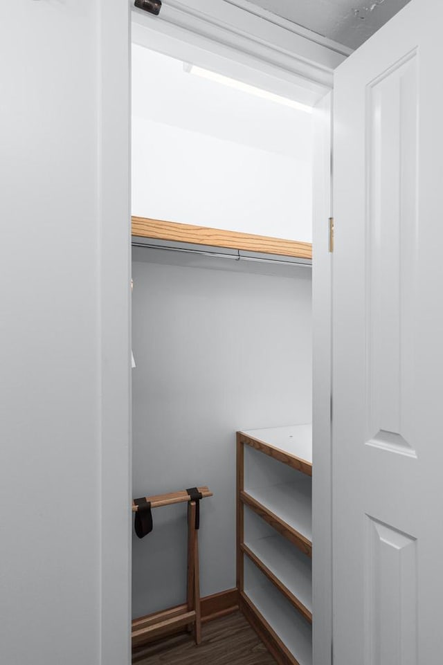 view of closet