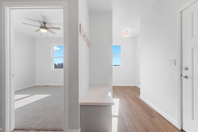 corridor featuring a healthy amount of sunlight and light hardwood / wood-style flooring