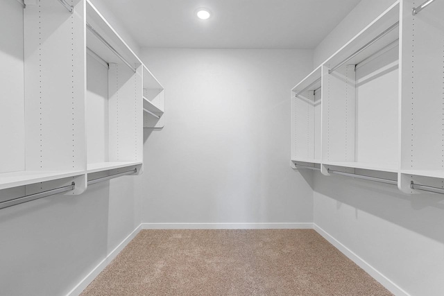 spacious closet with carpet flooring