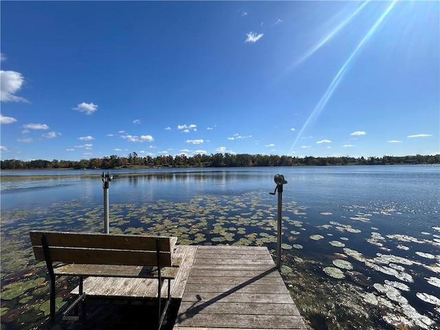 dock area featuring a water view