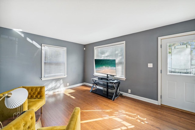 living room featuring hardwood / wood-style floors