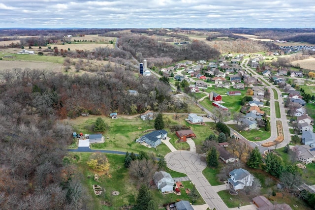 bird's eye view