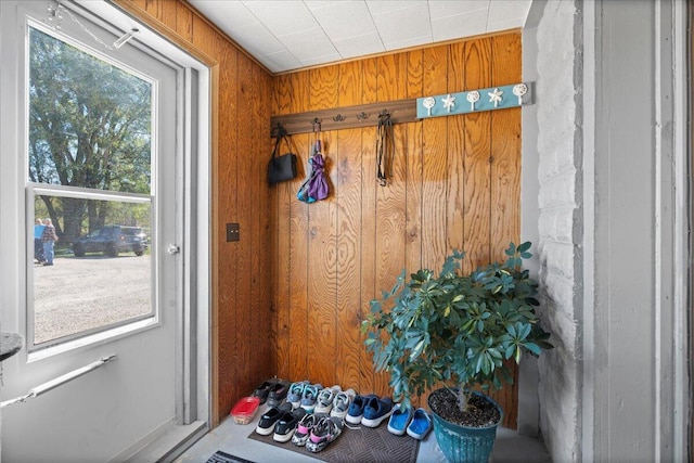 doorway featuring wood walls and a wealth of natural light