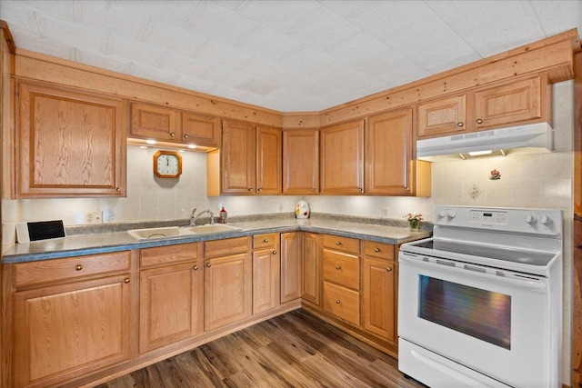 kitchen featuring white electric range, dark wood-type flooring, and sink