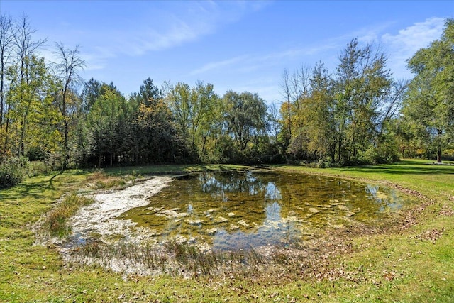 view of water feature