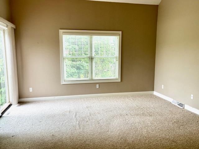 empty room with carpet flooring and a wealth of natural light