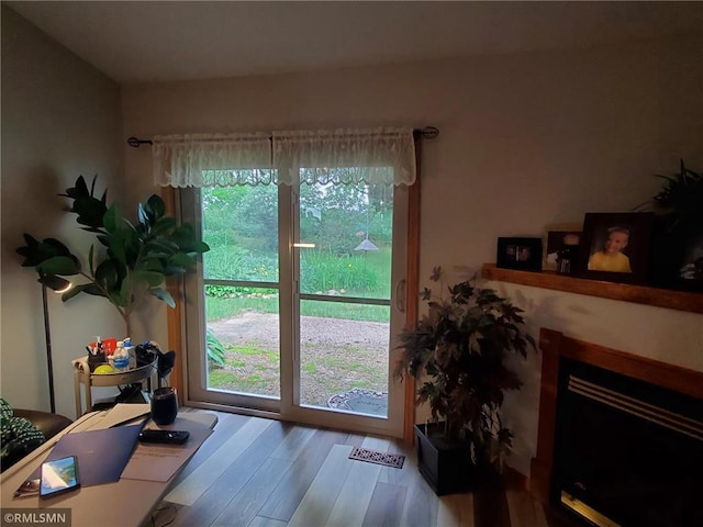 entryway with hardwood / wood-style floors