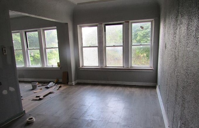 empty room with wood-type flooring