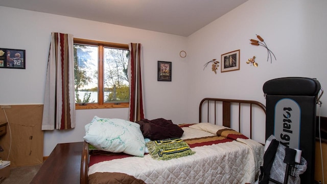 bedroom with carpet floors