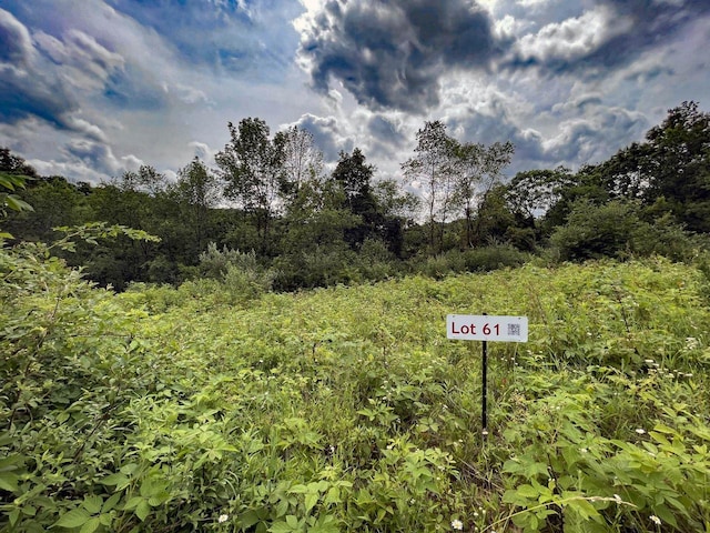 Listing photo 2 for LOT61 Staghorn Ct, La Valle WI 53941