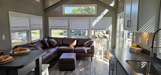 living room featuring high vaulted ceiling, hardwood / wood-style flooring, and a healthy amount of sunlight