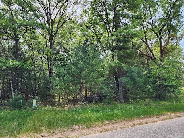 L11 W 17th Dr, Arkdale WI, 54613 land for sale