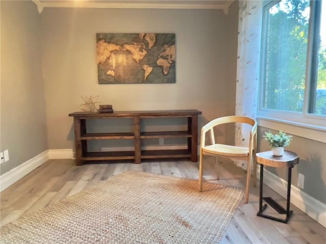 living area featuring light wood-type flooring and a wealth of natural light