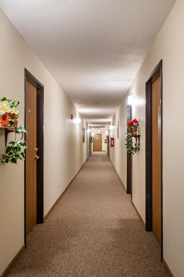 corridor with a textured ceiling and carpet floors