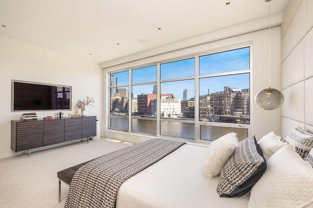 bedroom featuring carpet floors