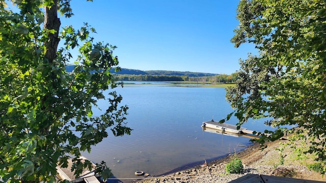 view of water feature with a boat dock