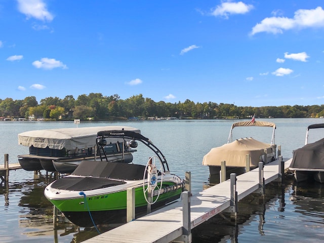 dock area featuring a water view