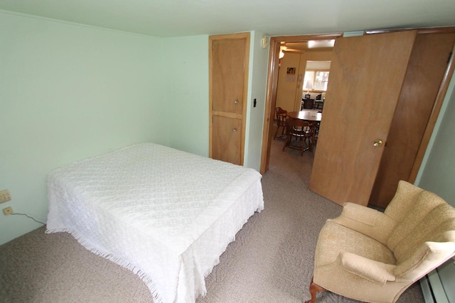 bedroom featuring carpet floors