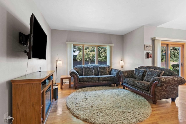 living room featuring light wood-type flooring and plenty of natural light